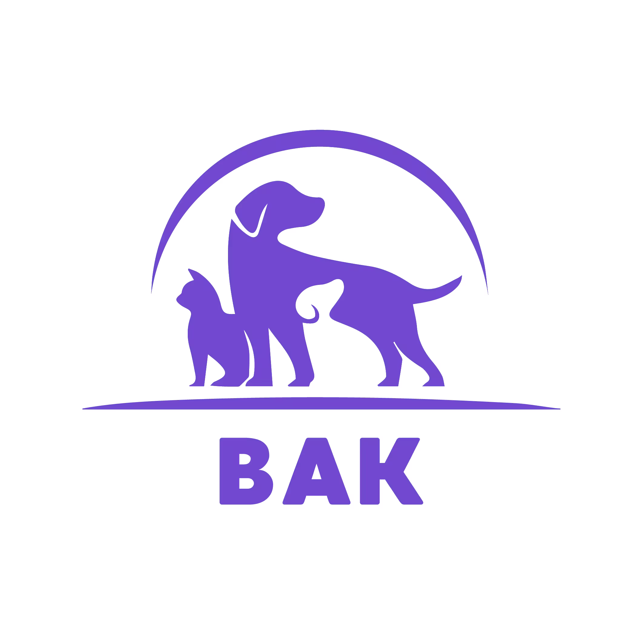 BAK